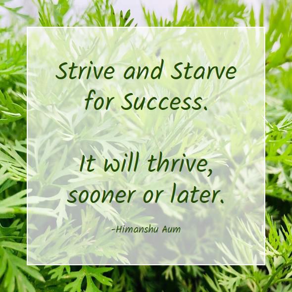 Strive and Starve for Success. It will thrive, sooner or later